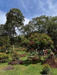 Looking for a 2D1N guide to Kundasang?