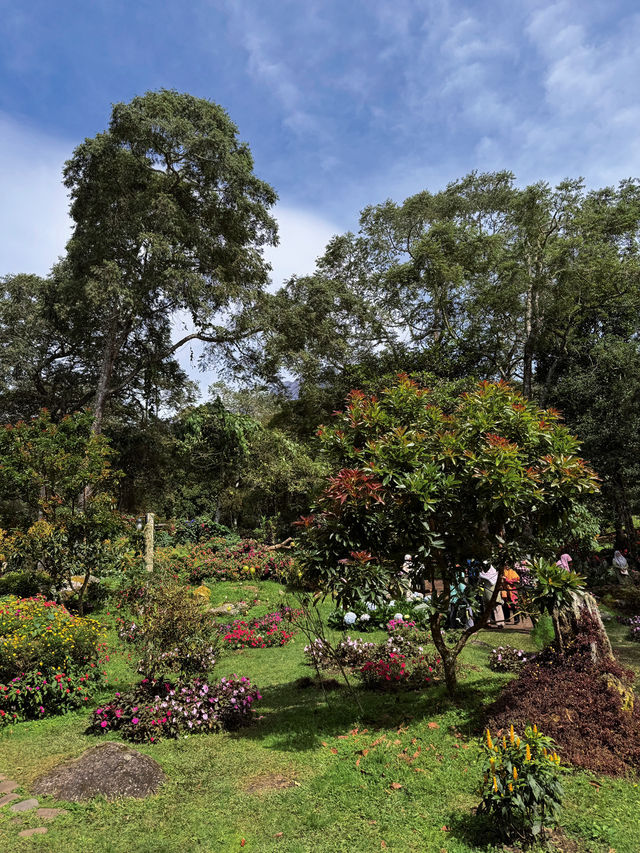 Looking for a 2D1N guide to Kundasang?