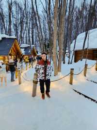 Frozen Beauty & Fairy Lights: Winter Road Trip from Asahikawa to Biei & Furano