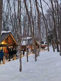 Frozen Beauty & Fairy Lights: Winter Road Trip from Asahikawa to Biei & Furano