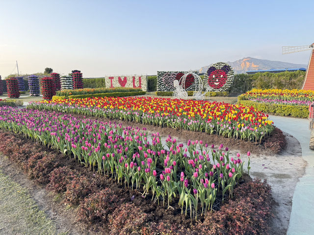 台中后里｜中社觀光花市，賞花、買盆栽、毛孩也能一起玩！