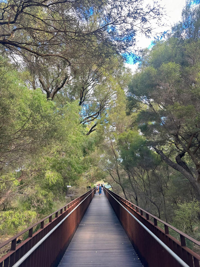 Kings Park and Botanic Garden