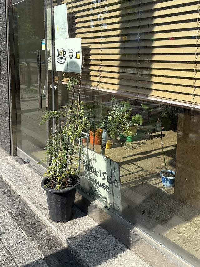 자연친화적인 감성카페 보리수🌱