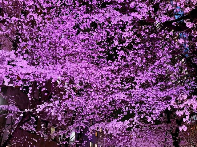 sumida park