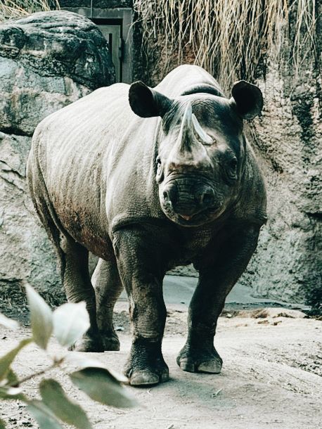 大阪交通攻略｜天王寺動物園