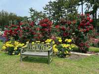 Hamadera Park – Osaka’s Historic Green Escape