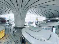하늘에서 피어난 거대한 꽃, 베이징 다싱공항