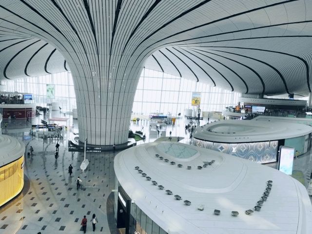 하늘에서 피어난 거대한 꽃, 베이징 다싱공항