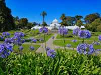 Golden Gate Park