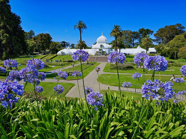 Golden Gate Park