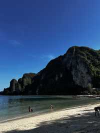 Phi phi paradise accommodations 