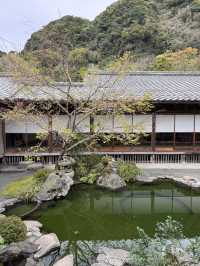 美麗的日本庭園仙巖園
