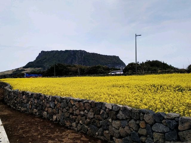 오르길 잘했다 싶은 절경, 성산일출봉