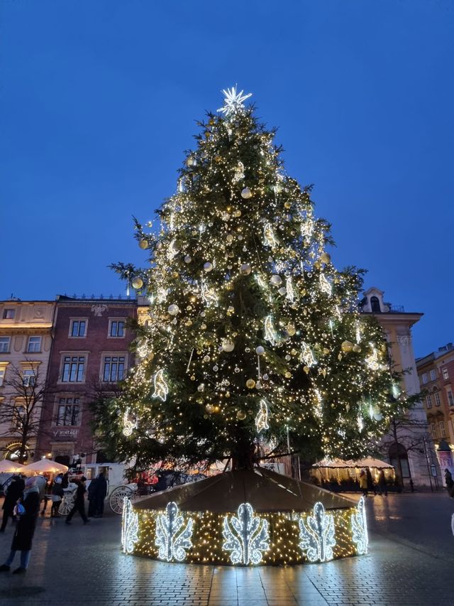 Go to KRAKOW instead of Warsaw!! Tips on WHY TO GO THERE