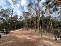 Panbil Nature Reserve: A Thrilling Jungle Workout with Stunning Rewards