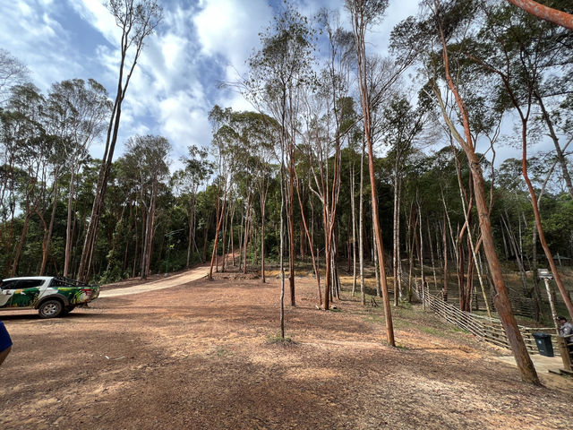 Panbil Nature Reserve: A Thrilling Jungle Workout with Stunning Rewards