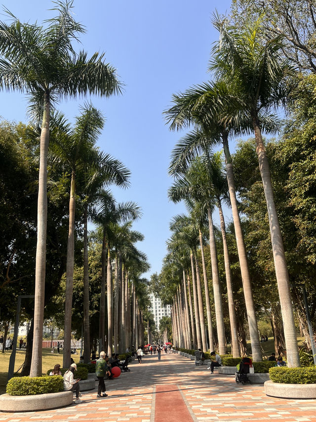 適合親子郊遊的深圳香蜜公園