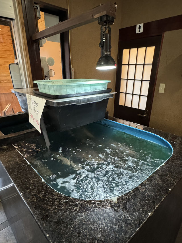 【山口旅行】海鮮が美味しすぎる🐟