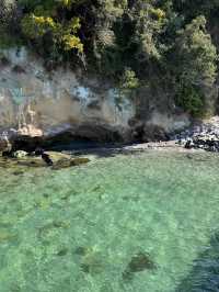 東京からすぐ行ける秘境🫣🌿豊かな自然と済んだ海の美しい無人島🏝