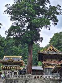 A Visit to the Magnificent Nikkō Tōshōgū Temple and Shrine