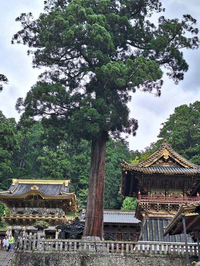 A Visit to the Magnificent Nikkō Tōshōgū Temple and Shrine