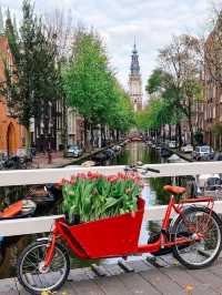 Amsterdam in Springtime: A City in Full Bloom