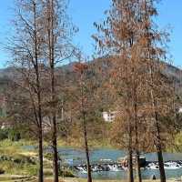 韓江西溪碧道 x 風景如畫小遊