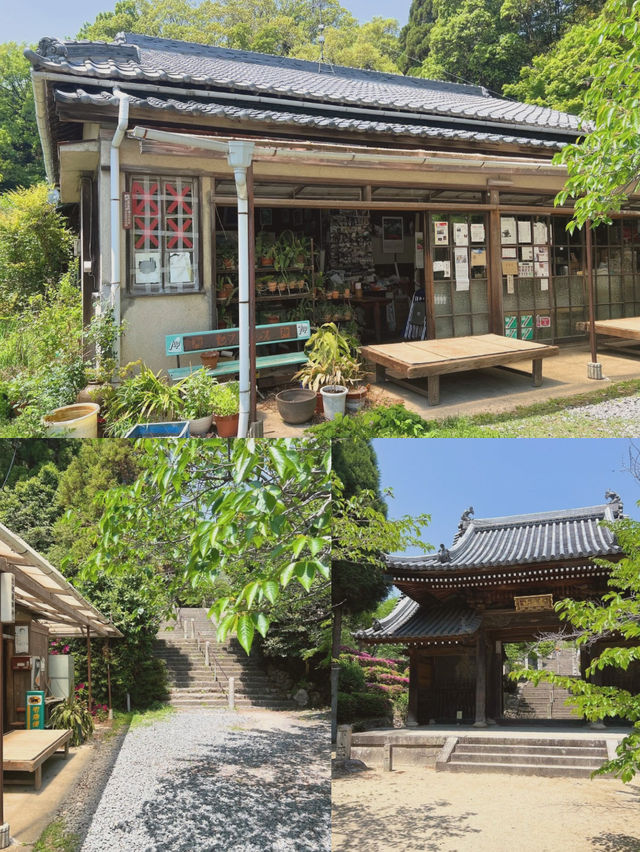 【兵庫/西宮】ジブリなお茶屋でタイムスリップ🤭🍙✨