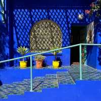 🌵✨ Jardin Majorelle: Marrakech’s Oasis of Art & Botanic Beauty