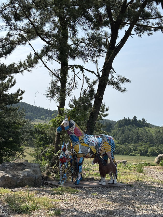 폭삭속았수다 촬영지 제주 오라동메밀밭