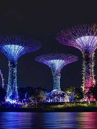 สิงคโปร์🇸🇬