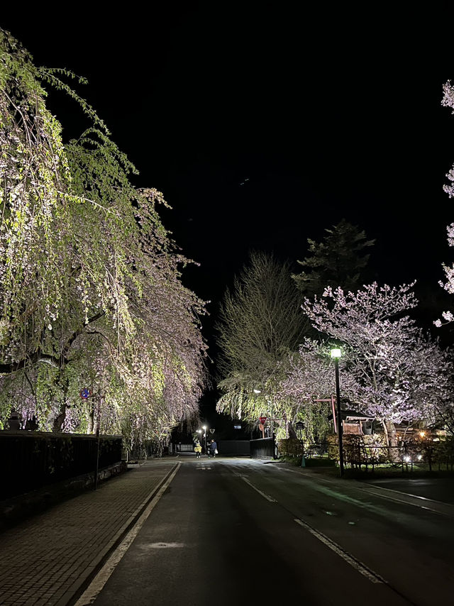 🌸🏯【秋田・角館】  時が止まった町で、武家屋敷と桜に包まれる春。 
