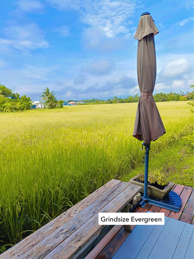Grindsize Evergreen CNX ☕🌾