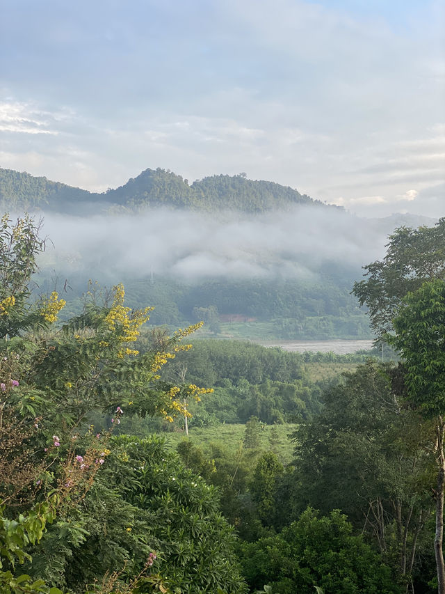 เชียงของ