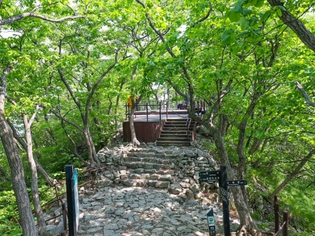 My Adventure at Gyeryongsan