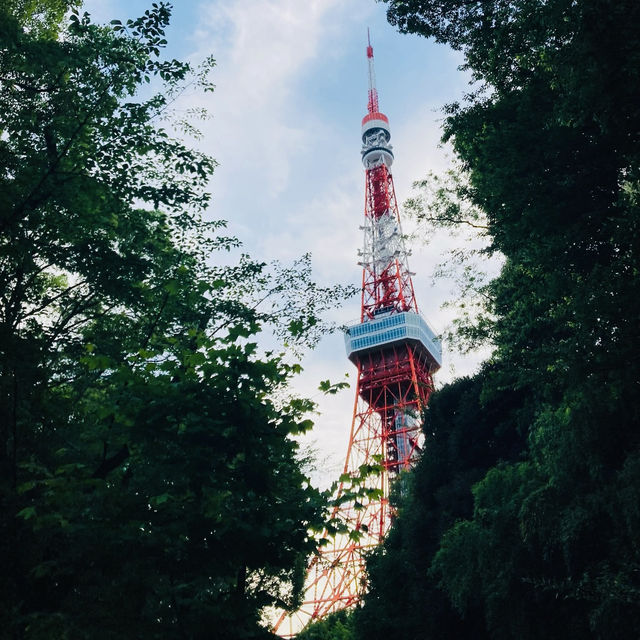 東京タワー🗼見て芝公園の〝ル・パン・コティディアン〟でコーヒーに癒されよう☕️⟡.·