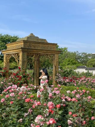 Places to Visit in Daejeon: Rose Garden at Hanbat Arboretum