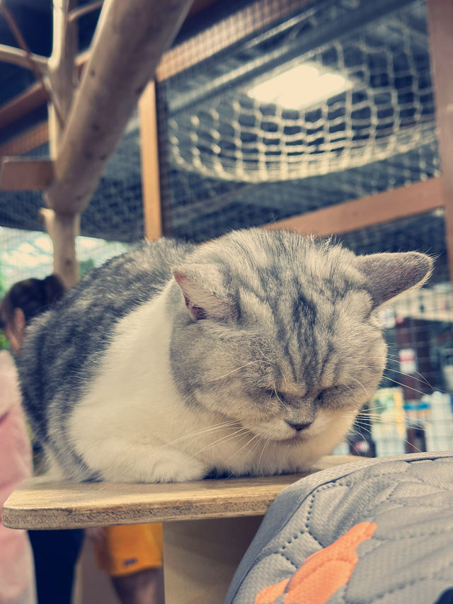關西親子遊景點推薦