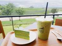 ไร่ชาฉุยฟง🌱