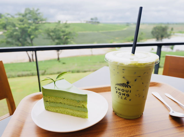 ไร่ชาฉุยฟง🌱