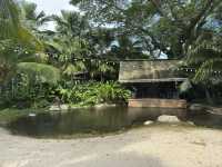 Chill Vibes and Warm Service at Canopy Changi Village