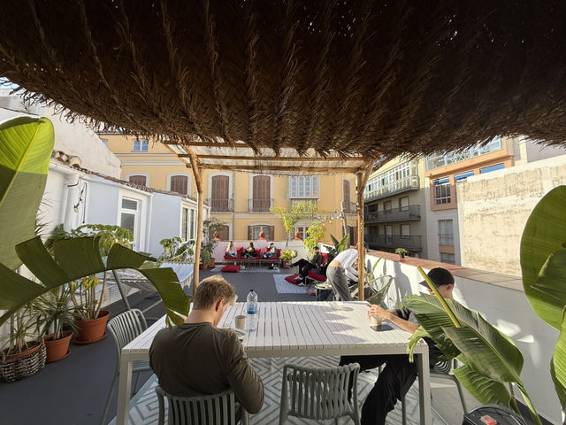 A jungle styled hostel in Malaga