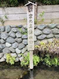 東京🇯🇵六郷用水の跡には錦鯉と緑がいっぱい🌿⟡.·お散歩に最適✌️ˊ˗
