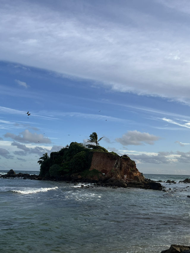Sri Lanka Visa Options