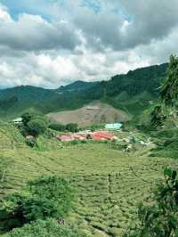 A Garden Above the Clouds: Cameron Highland Flora Park