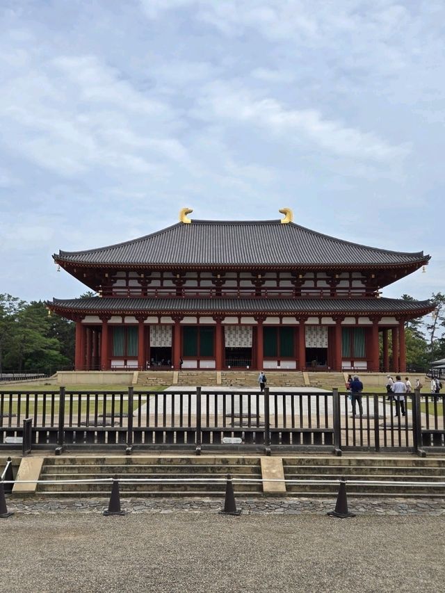 【奈良】世界遺産　興福寺