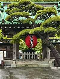 โอซาก้า🇯🇵