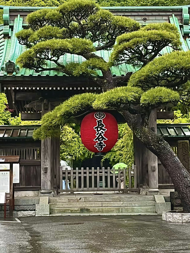 โอซาก้า🇯🇵