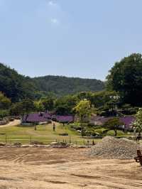 💜 양산 라벤더 카페, 보랏빛 힐링 스팟! 💜