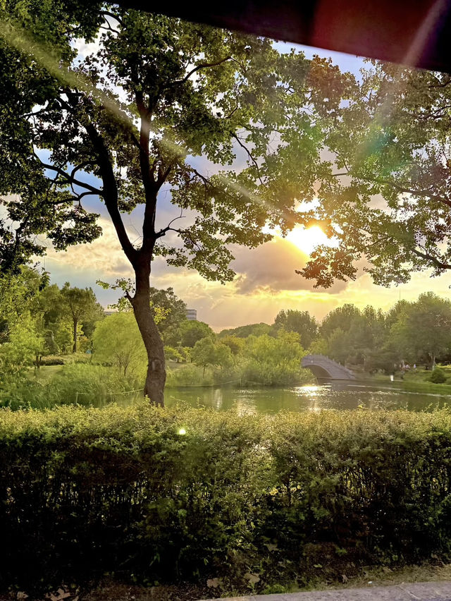 A Community Sports & Nature Hub – Minhang Sports Park, Shanghai